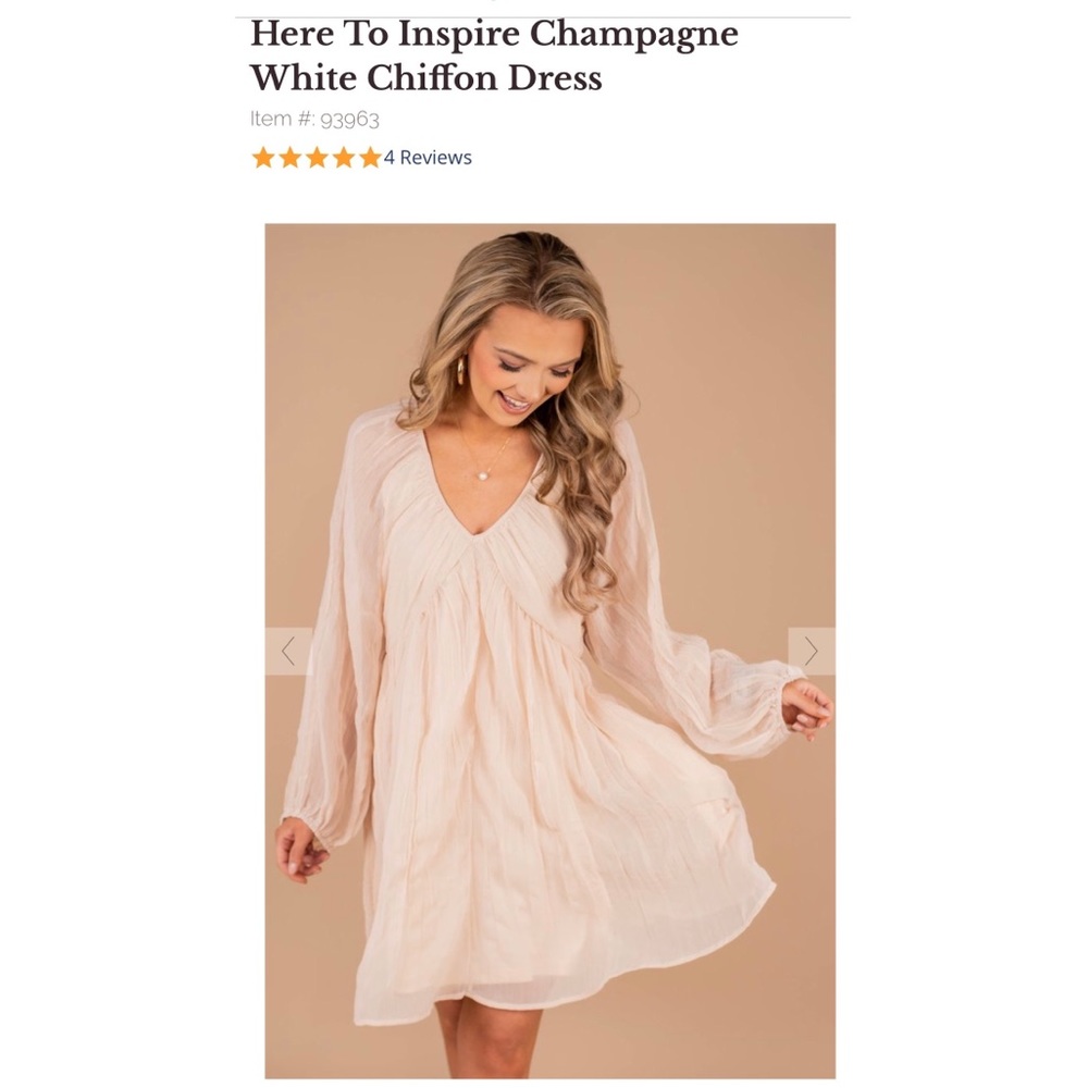 NWT💥🏷 Champagne Dress